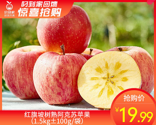 红旗坡树熟阿克苏苹果（1.5kg±100g/袋 ） 商品图0