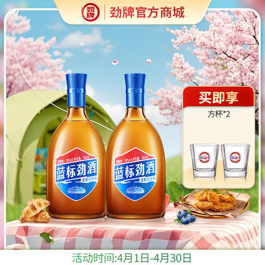 500ml36度蓝标劲酒（光瓶装） 商品图0