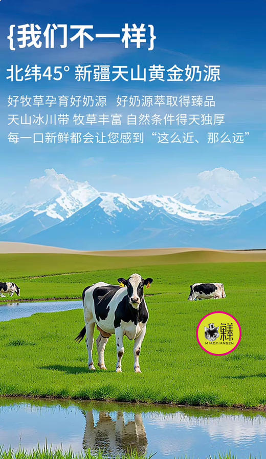 新疆天山希腊厚酸奶（原味）低温冷萃干噎酸奶奶酪🤩3罐 商品图1