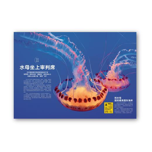 动物志·第三辑预订 商品图2