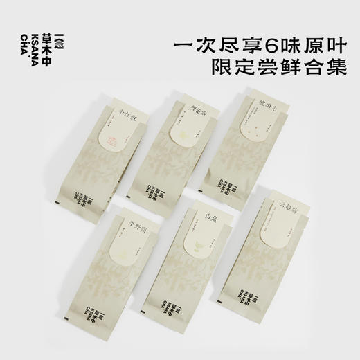 【余额100%全返】6口味小赏 ｜六大茶类组合 |4g*6包/盒 商品图0