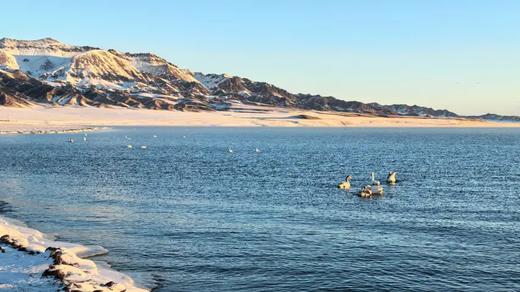 户外@2-6人【阿勒泰遇见伊犁】二进喀纳斯+禾木旅拍+赛里木湖 +那拉提+阿禾&独库公路8天 商品图6