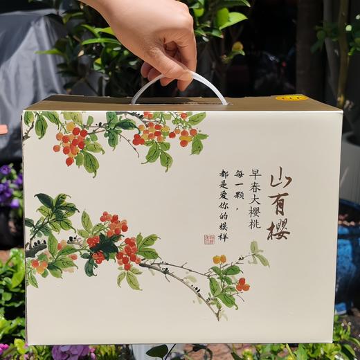 早春大樱桃 商品图5