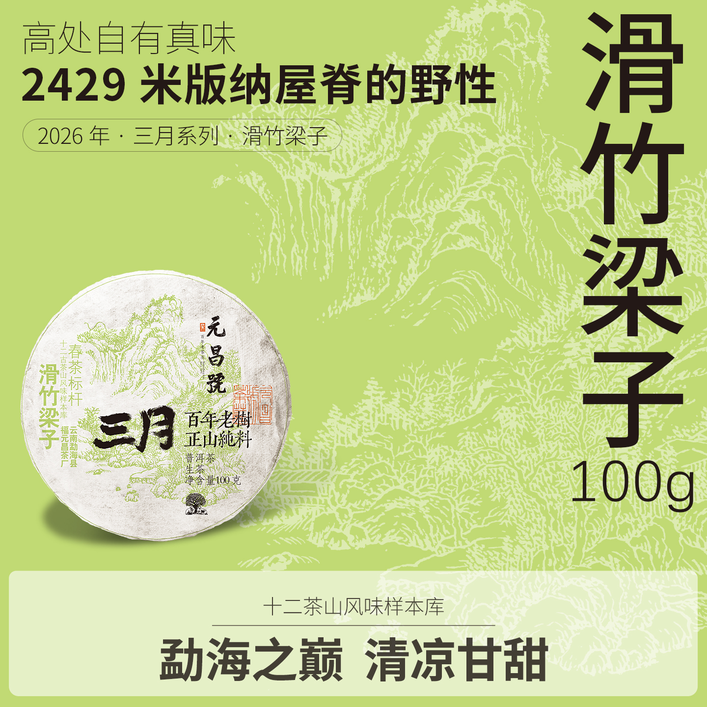 【元昌号】2026年三月系列头春大树滑竹梁子100g生饼