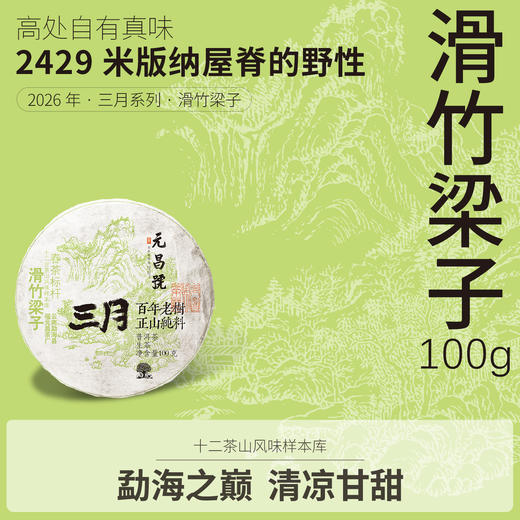【元昌号】2026年三月系列头春大树滑竹梁子100g生饼 商品图0