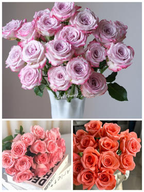 【2026.4.3】特价：1扎10枝基地玫瑰15.9（现货 下单即可到店自提）