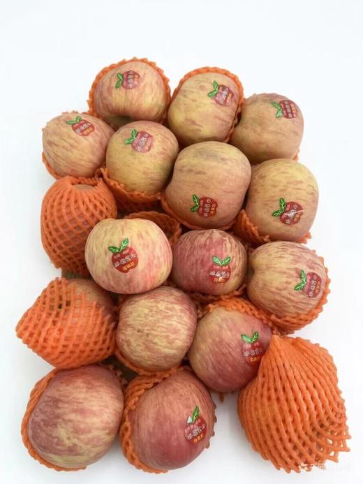 丑苹果 商品图0