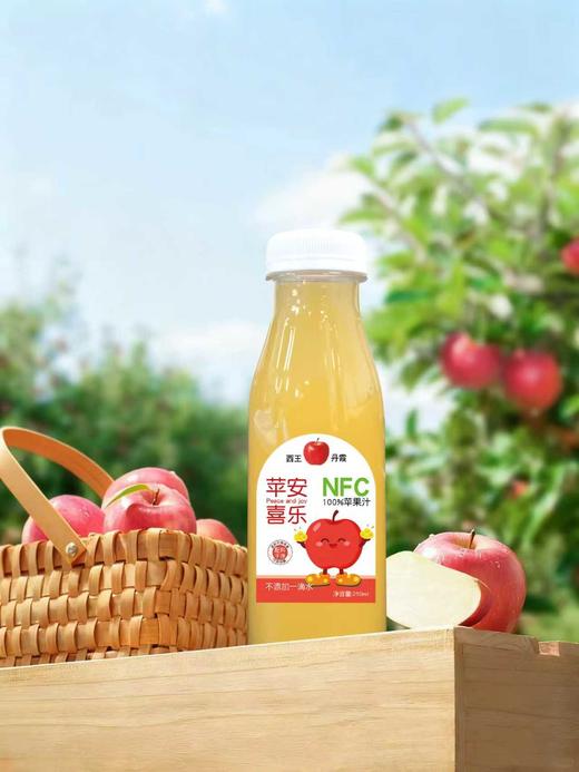 厚切苹果干和果汁 老品种丹霞苹果做的 纯粹健康 好吃好喝 只有苹果 不打药无防腐剂无添加 包邮 |百里食 商品图1