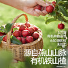 【零食】有机山楂棒85g/ 204g，送辅食食谱 商品缩略图1