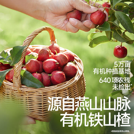 【零食】有机山楂棒85g/ 204g，送辅食食谱 商品图1