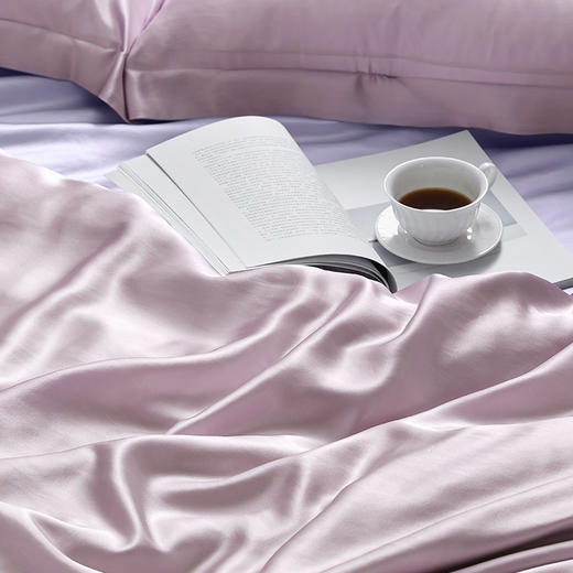 桑蚕丝重磅真丝撞色宽幅四件套 商品图1