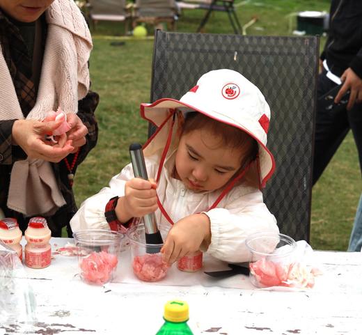 已成团4.6【新津.你好小羊亲子营】挤羊奶体验，品尝羊奶，田间漫步，蔬菜采摘，羊乳西米露，树棍面包。 商品图3