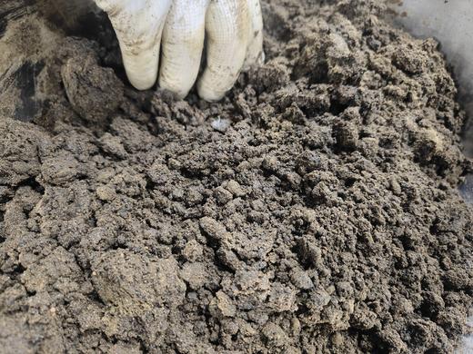 桑麻丸 商品图2