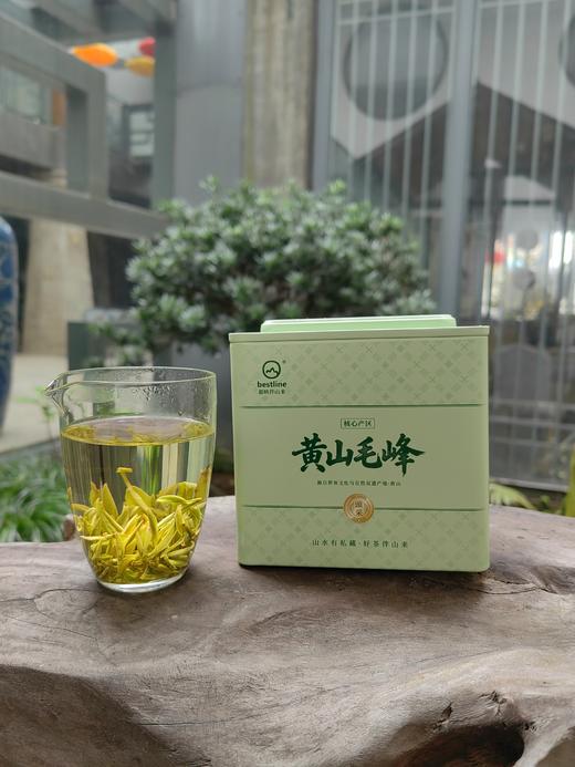 2026新茶|黄山毛峰|特一|绿茶|产区歙县|125g单|双罐|2026年3月28日鲜叶 商品图1
