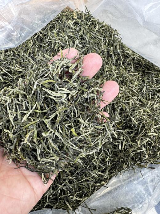 2026年新茶巫溪秀芽明前特级秀芽(一芽一叶） 商品图1