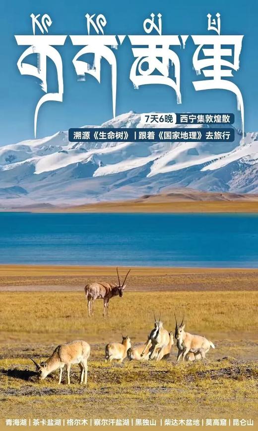 2026暑期｜青海新境·可可西里，溯源《生命树》原型，跟着国家地理去旅行打卡！ 商品图0