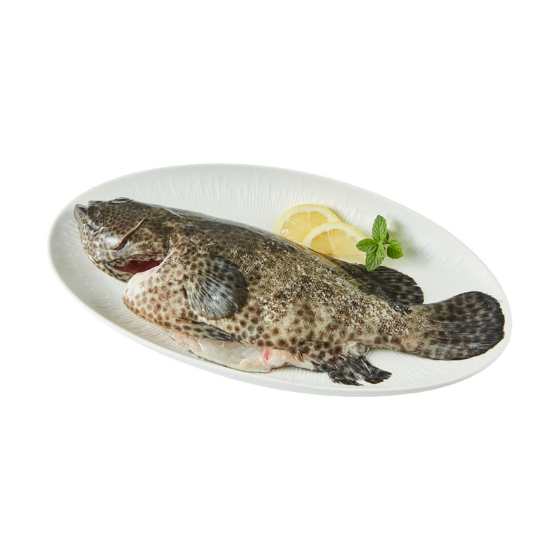 MM 山姆 老虎斑鱼 600g