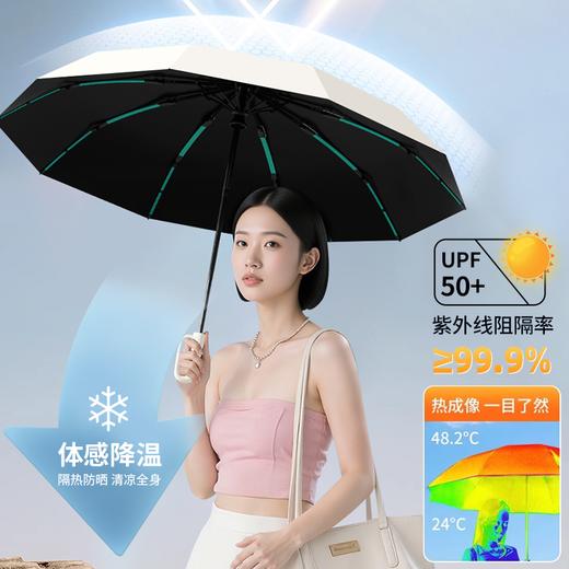 雨宝·自动晴雨伞 加大加厚伞面，可抗暴雨 UPF50+防晒 商品图1