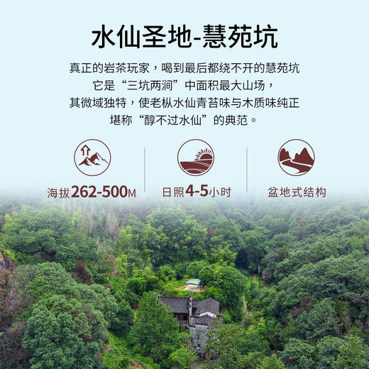 【窠岩氏】05慧苑坑老枞水仙80g 商品图3