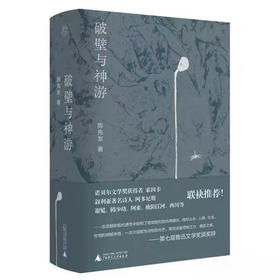 破壁与神游 陈先发著 纯粹系列 广西师范大学出版社