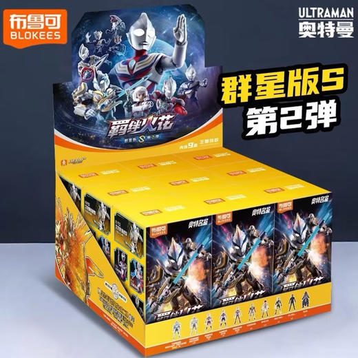 奥特名鉴群星版2弹布鲁可积木-纪念日百货门店同款171293522 商品图0