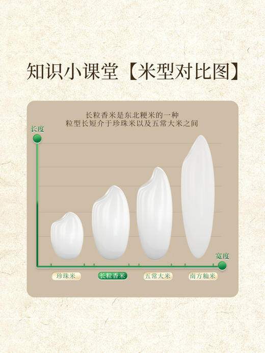 十月稻田优质东北大米长粒香5kg*2  山姆会员店商品非商品原因不支持退款 商品图5