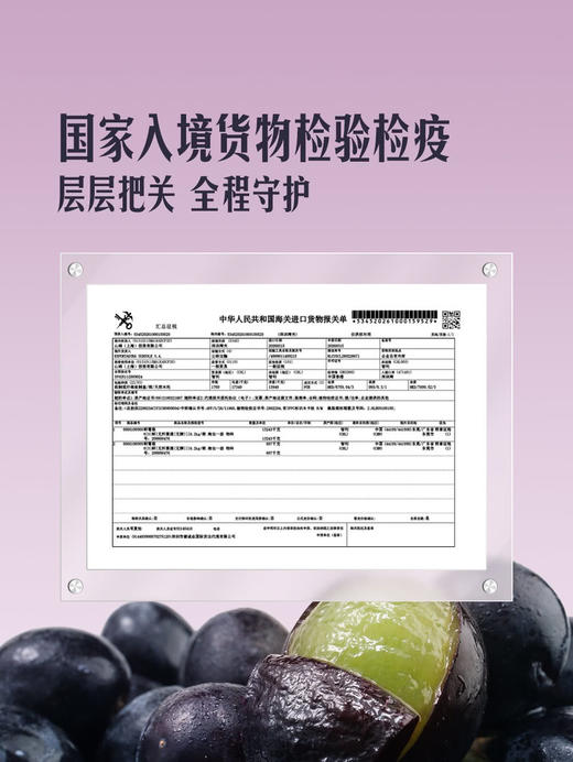 MM 山姆 进口无籽黑提 1.36kg 商品图3