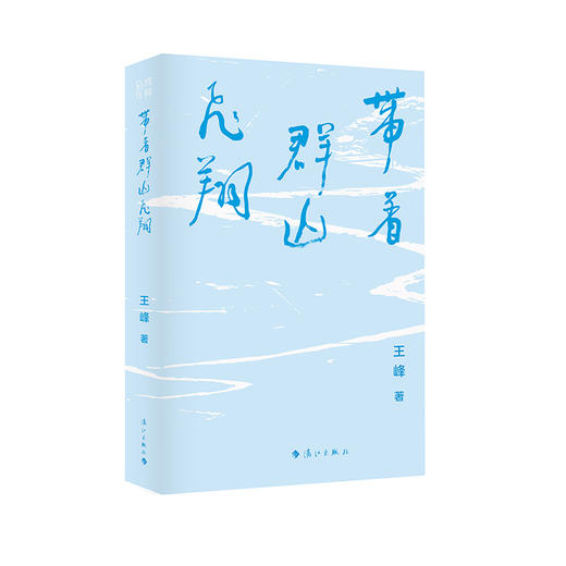 带着群山飞翔 商品图2