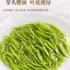 【春茶上新】2026新茶明前茶武当道茶-云芽中小叶种绿茶 192g/提 商品缩略图2