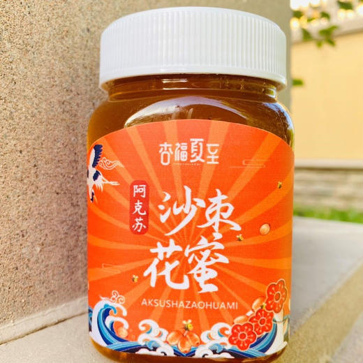 沙枣蜂蜜500g*2瓶基地直邮 商品图2
