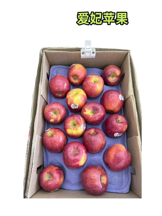 爱妃苹果 商品图0