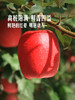MM 山姆 瑞香红苹果 2.5kg 商品缩略图4