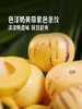 MM 山姆 云南人参果 1kg 商品缩略图4