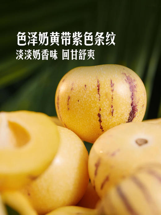 MM 山姆 云南人参果 1kg 商品图4