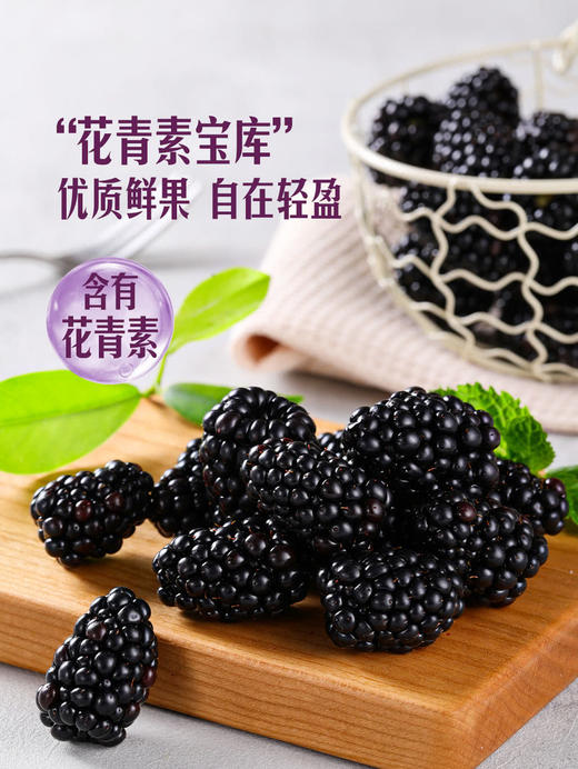 MM 山姆 怡颗梅 黑莓 375g 商品图5