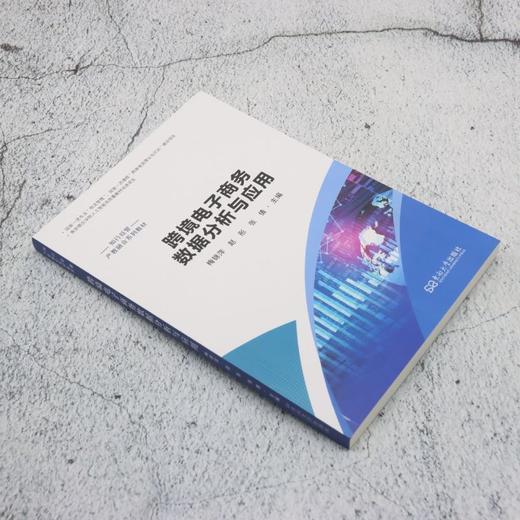 跨境电子商务数据分析与应用 商品图1