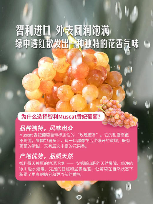 MM 山姆 智利香妃葡萄 900g 商品图5