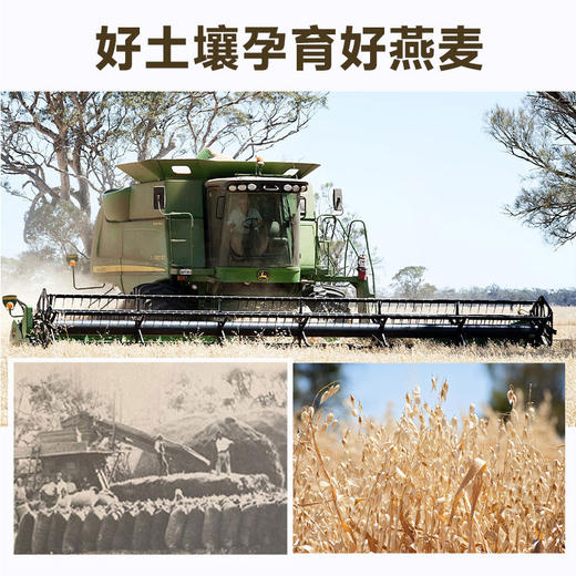 澳大利亚进口纯燕麦片早餐营养代餐无蔗糖即溶 商品图3