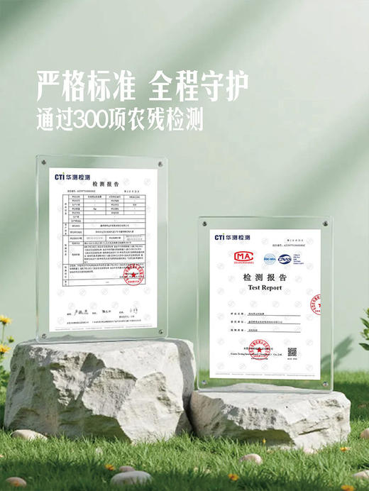 MM 山姆 黑金刚莲雾 1kg 商品图3