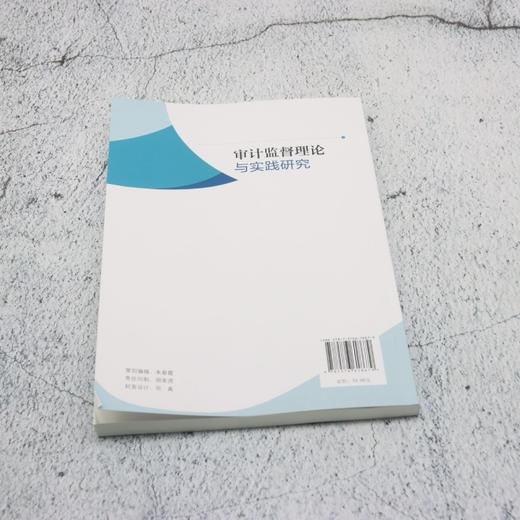 审计监督理论与实践研究 商品图2