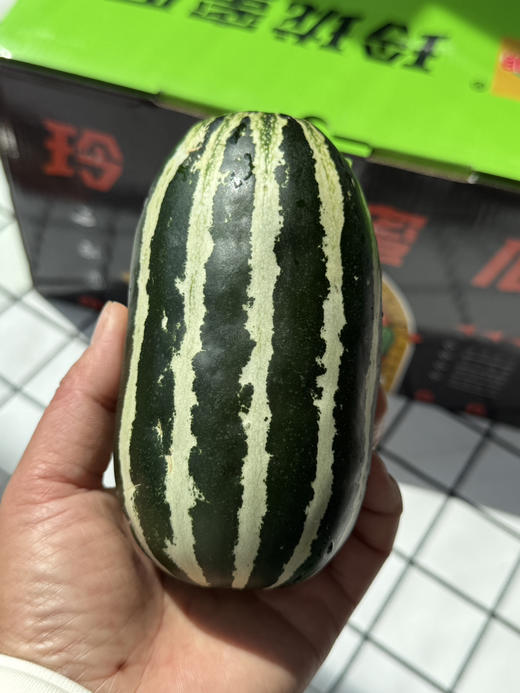 博洋玲珑蜜瓜 商品图3