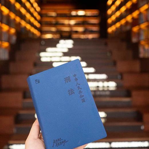 中华人民共和国刑法 商品图4