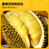 【顺丰/京东冷链发货】泰国老树泰国自有果园工厂泰国A级金枕榴莲果肉 商品缩略图1