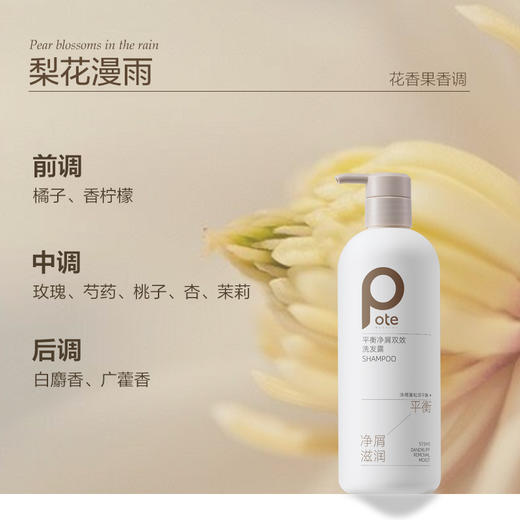 【八十八倉甄选】柏缇平衡净屑双效洗发露515ml 商品图4