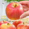 阿克苏樱桃苹果 （松脆多汁 清爽香甜）5斤装/8斤装 顺丰快递 下单后72小时发货 商品缩略图0