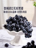 MM 山姆 进口无籽黑提 1.36kg 商品缩略图1