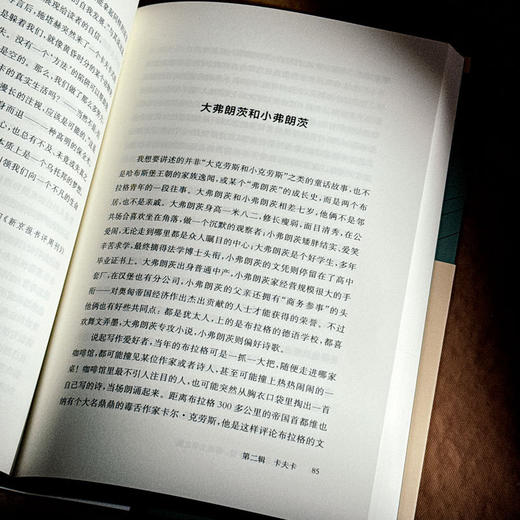 早上苍老,傍晚年轻:德语文学之镜 商品图3