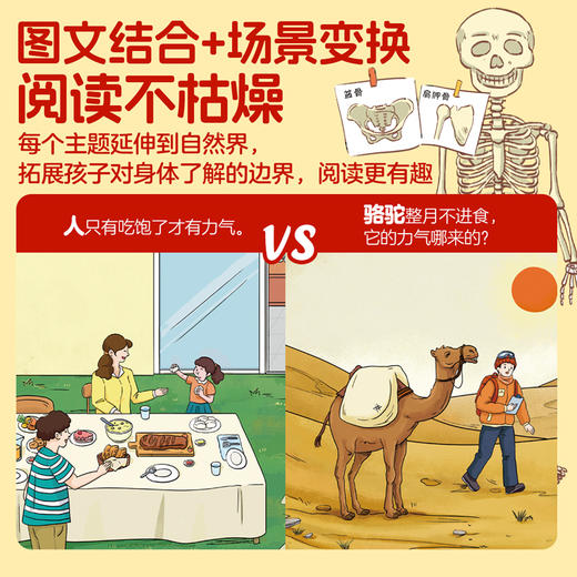 亲亲科学图书馆《身体的秘密》（全十册） 商品图3