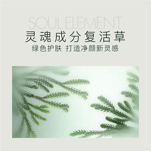 6974475777726 滋色ZEESEA 滋色净澈舒颜卸妆湿巾单片 商品图4