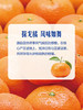 MM 山姆 探戈橘 3kg 商品缩略图5